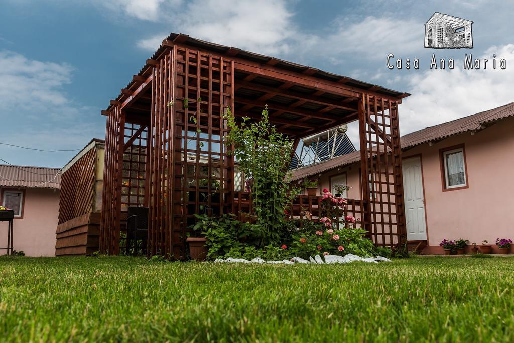 Villa Casa Ana Maria Vama Veche Exterior foto