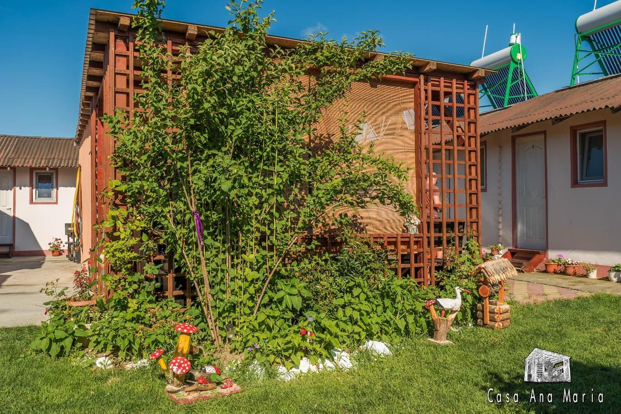 Villa Casa Ana Maria Vama Veche Exterior foto