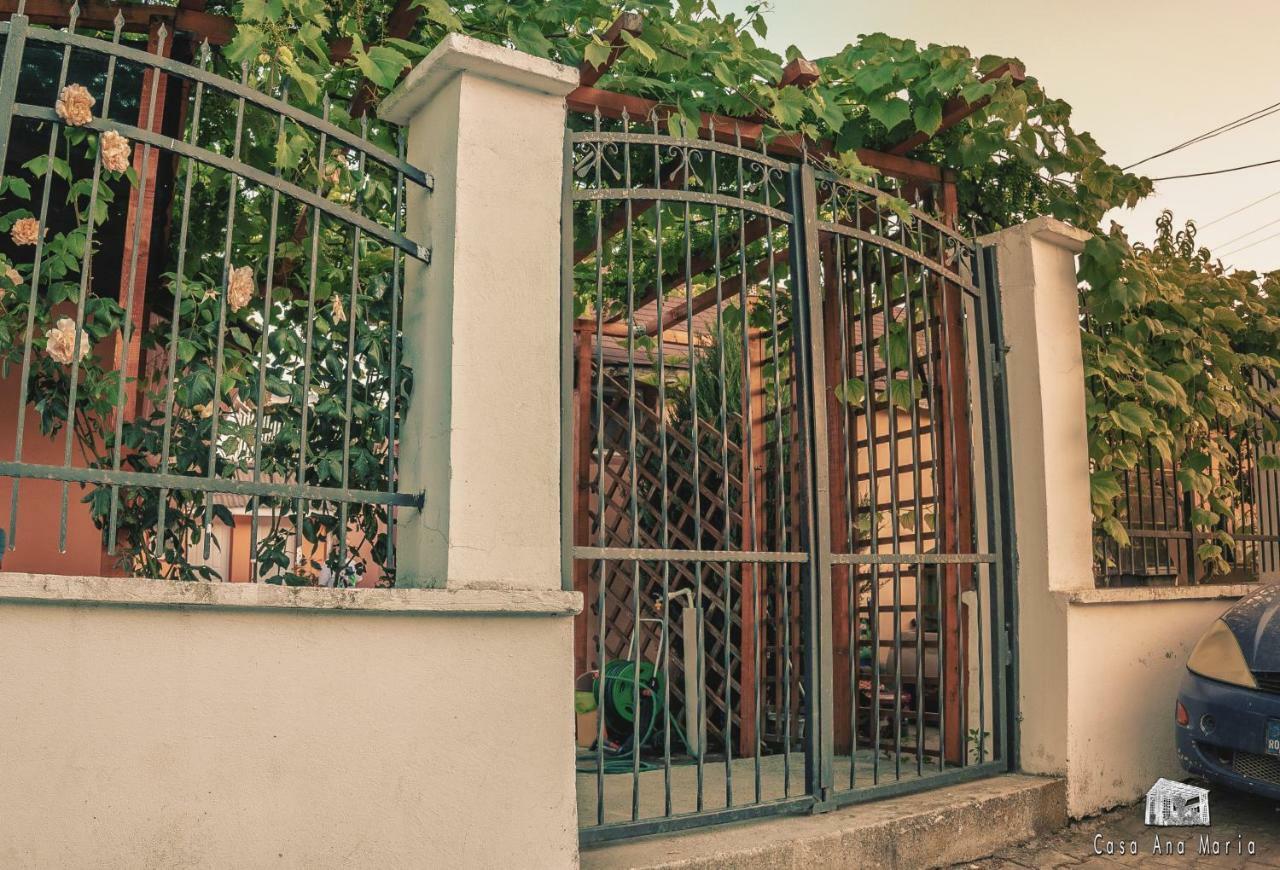 Villa Casa Ana Maria Vama Veche Exterior foto